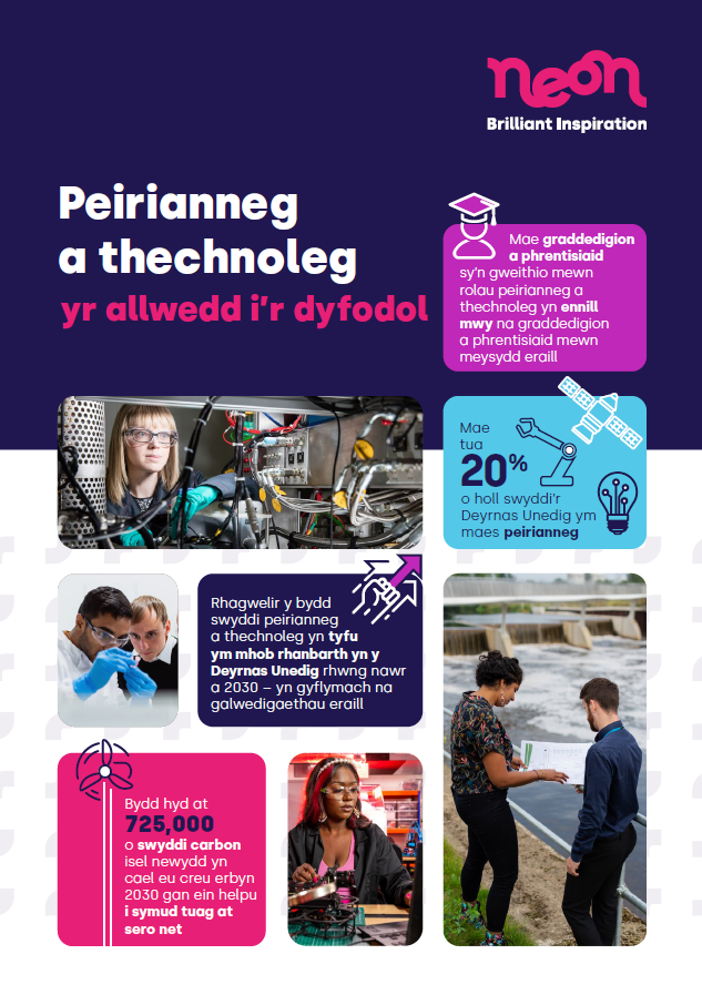 Careers Resource Welsh Key To The Future Leaflet Summary Image